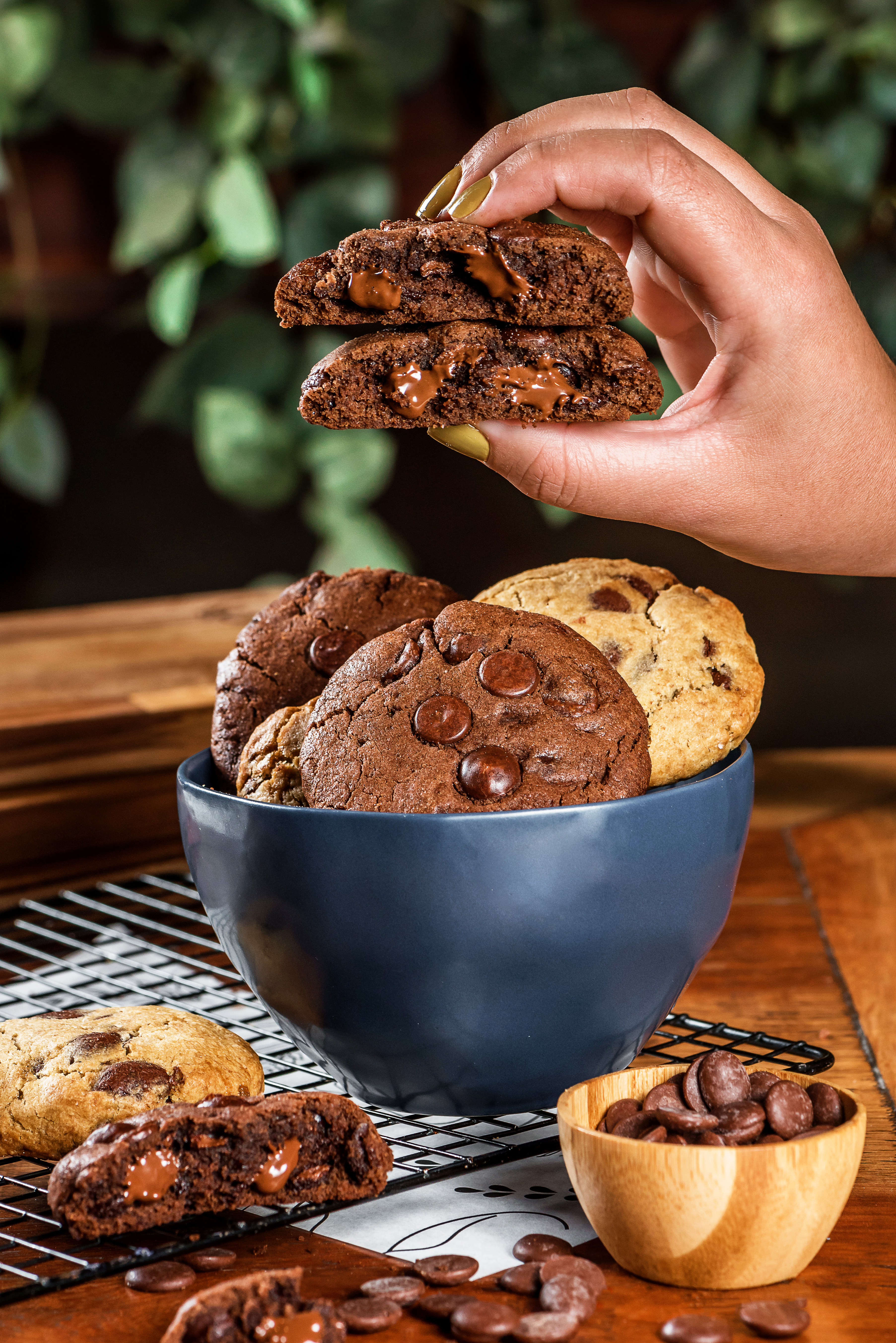 Cookie Grâu: Chocolate Noble 50% (Tradicional o Black)
